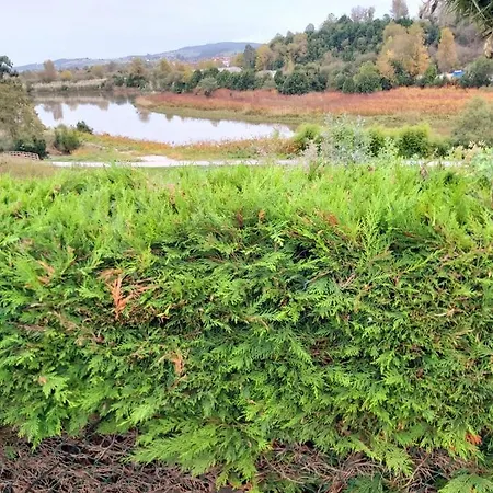 아파트 Casa Laurel 1